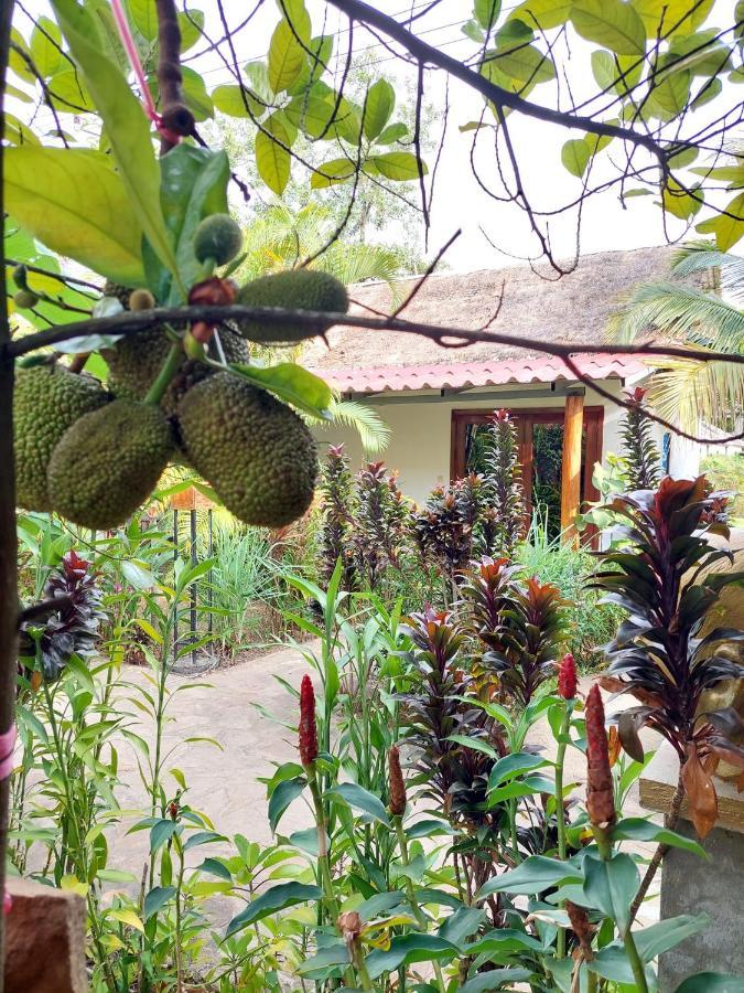 Om Home Sihanoukville Exterior foto